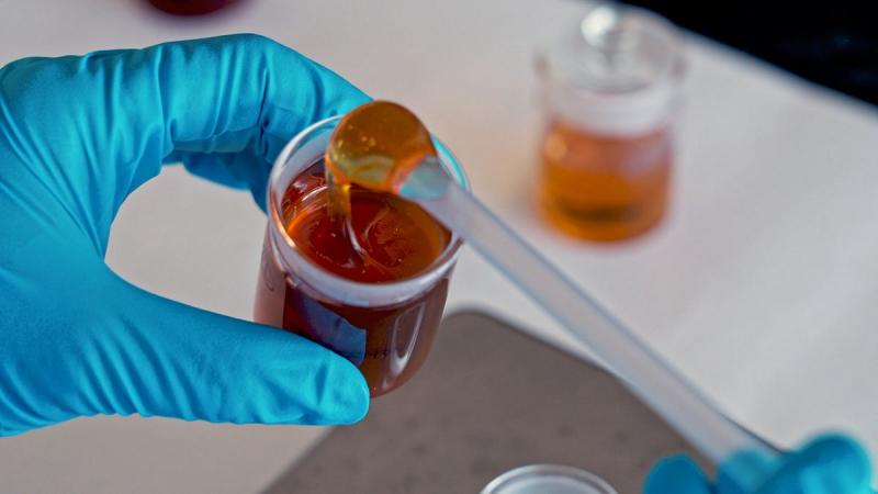 A Méz Nyomozói: Hogyan ismerhetjük fel a hamisítványokat?