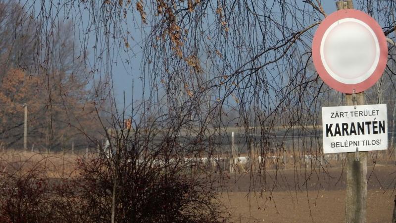 Debrecenben sajnálatos módon már van halálos áldozata a járványnak.