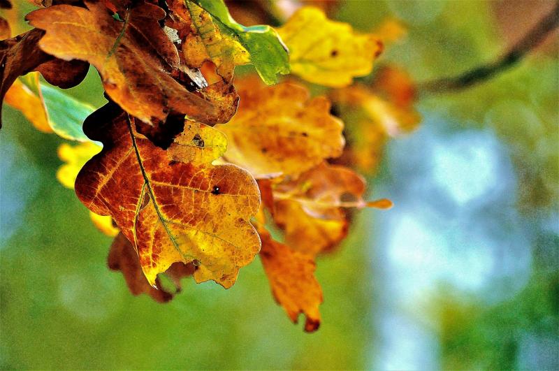 Időjárás 2025. november 7.: A napos reggel kellemes meglepetést tartogat, de a délutánra várható záporok felfrissíthetik a levegőt.