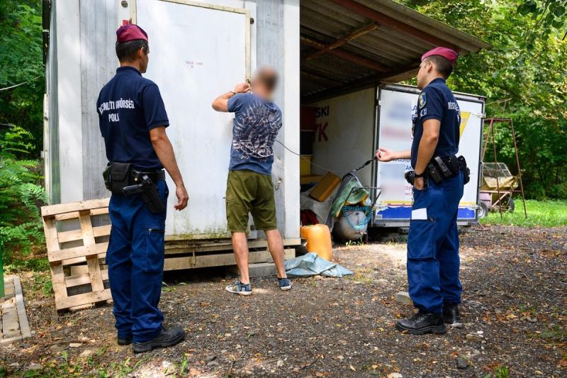 Svajci farkasok és a különös eset: akár 12 év börtön várhat arra az apára, akinek a kisfia levadászta a védett állatot. Az eset felveti a felelősség kérdését és a természetvédelmi törvények szigorát.