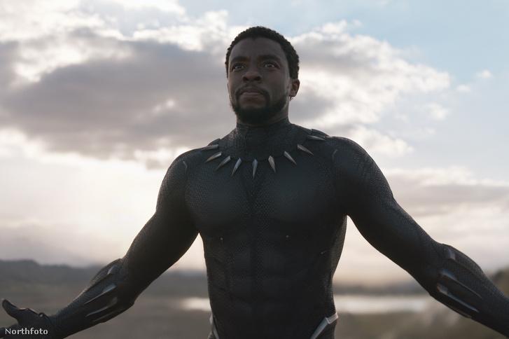 Új színész érkezhet, aki életre kelti Chadwick Boseman ikonikus karakterét, T'Challát az MCU világában.