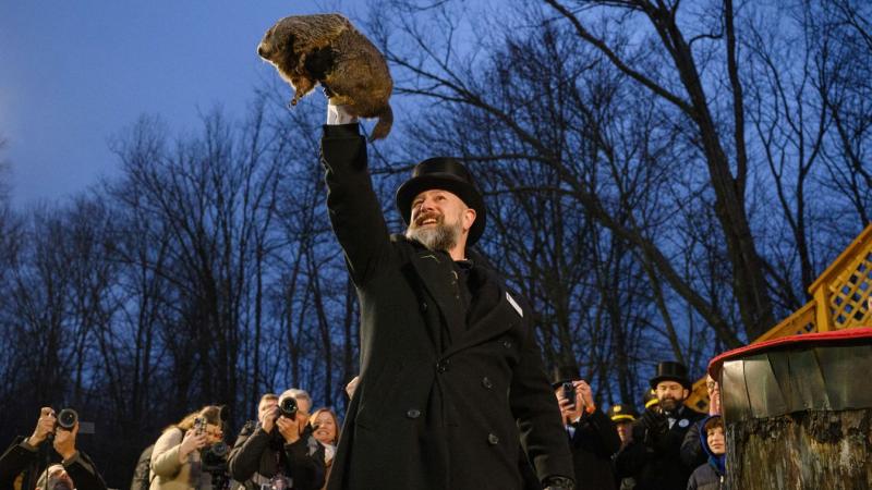 Punxsutawney Phil, a híres mormota, hosszú tél beköszöntét jósolta.