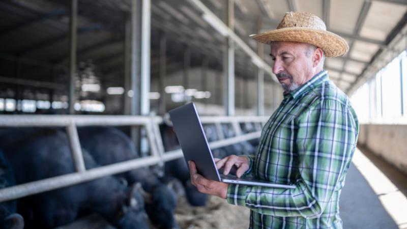 Nagy István kiemelkedő információkat osztott meg a száj- és körömfájás aktuális helyzetéről Magyarországon - Agro Napló.