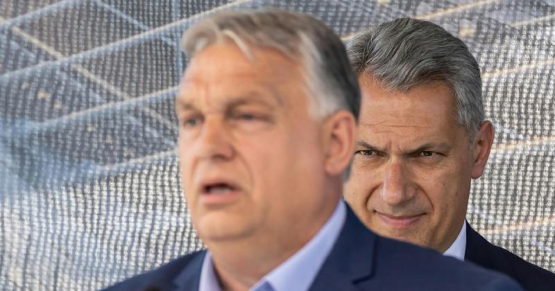 Papp Réka Kinga: Mi történne, ha Orbán átadná a stafétát, és elvonulna a zebráihoz, hogy velük töltsön időt?