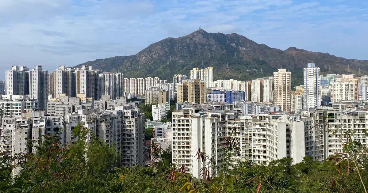 Feszültséggel teli kaland: harapós kígyó és vad makákó – mindez egy szokványosnak tűnő túra Hongkong lenyűgöző felhőkarcolói között.