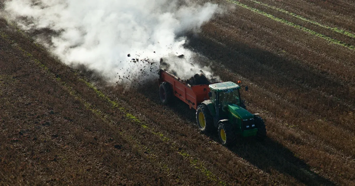 Itt a megszokott nyárvégi szag, ami a felnőtté válás szomorú, de elkerülhetetlen jele.