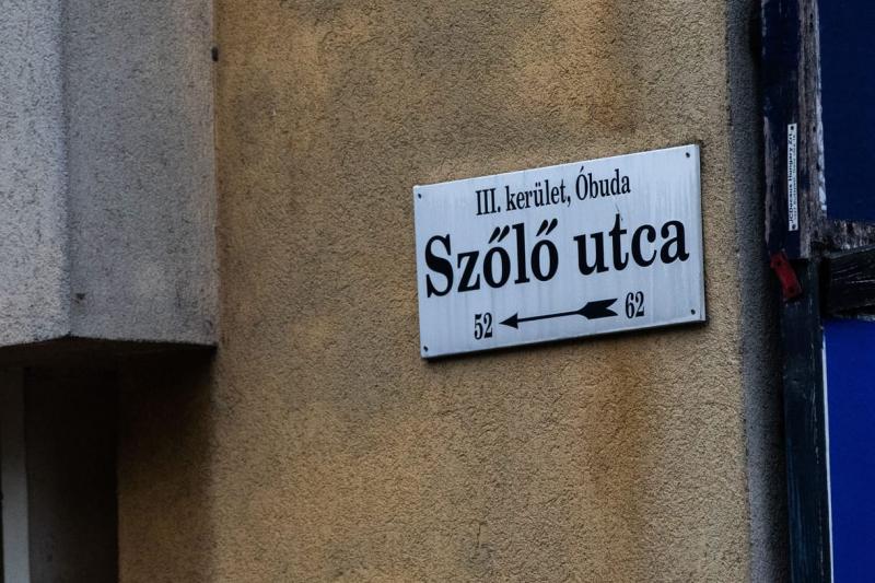 Felmérés: A magyar lakosság körülbelül fele úgy véli, hogy a kormánynak is részesedése van a Szőlő utcai ügy problémáiban.