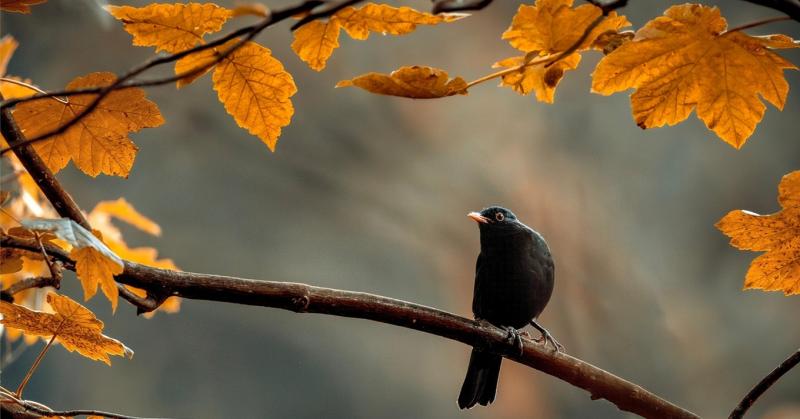 Jócskán 20 fok fölé emelkedik a hőmérő higanyszála, bár nem minden helyen tapasztalható ez a meleg.