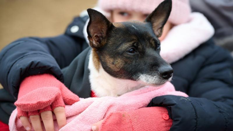 Németh Lajos úgy véli, hogy ez az időszak hozza el számunkra az igazi téli időjárást.